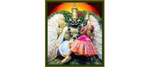 நங்கநல்லூர்